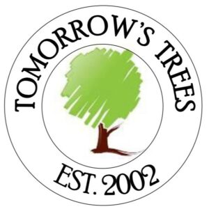 Toowmorow Tree logo 300x300