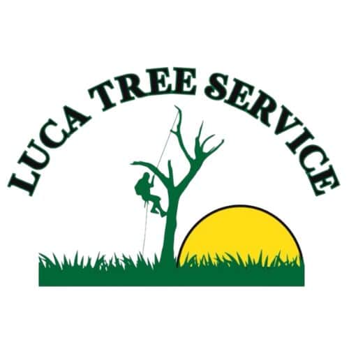 LUCA TREE SERVICE LANDSCAPING INC 2