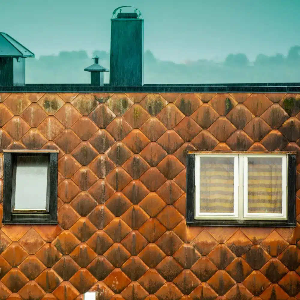 Scotchgard Protection for Roofs_ Preventing Algae Growth in New England Weather